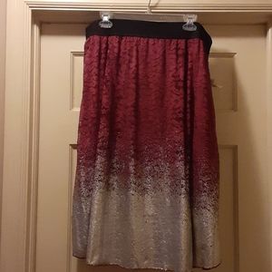 NWT fun fancy lace skirt